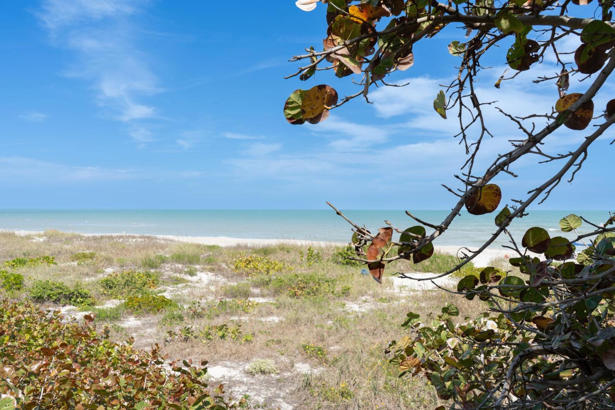 Sole Suite #1-2 Min To Beach-Patio & Courtyard Cocoa Beach Esterno foto